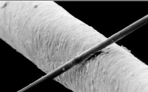 Fibre di Carbonio 