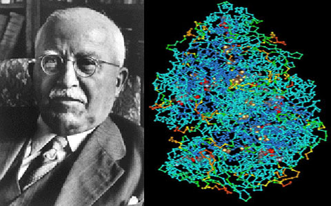 La teoria delle macromolecole 